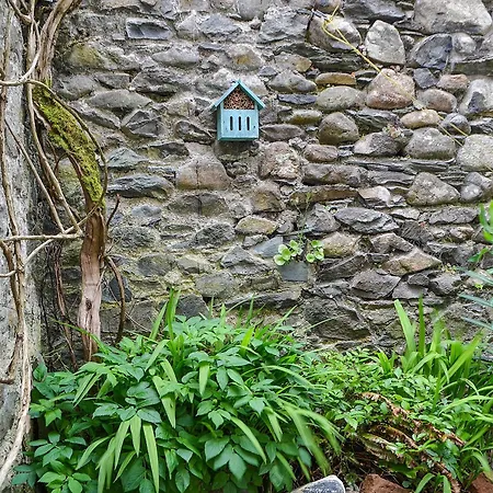 Pollywiggle Holiday home